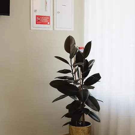 Bed & Breakfast Kv Residences 3*